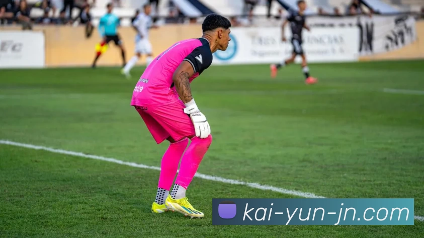 kaiyun平台生态图